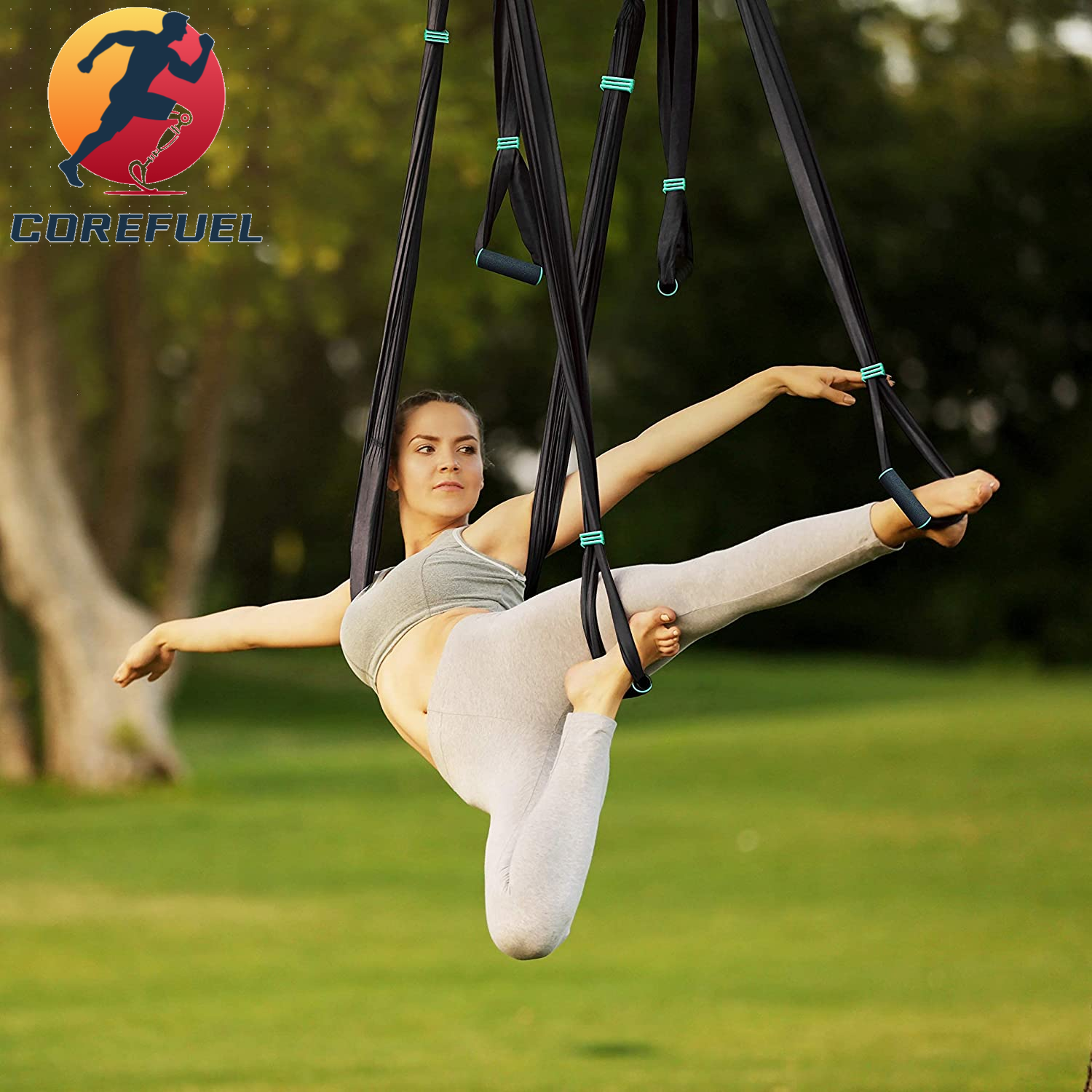 Premium Aerial Hammock anti Gravity Yoga Swing Kit - Acrobat Flying Sling Set for Indoor and Outdoor Inversion Therapy